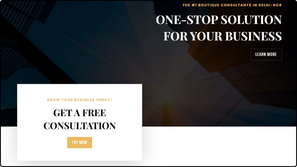 seo company in delhi